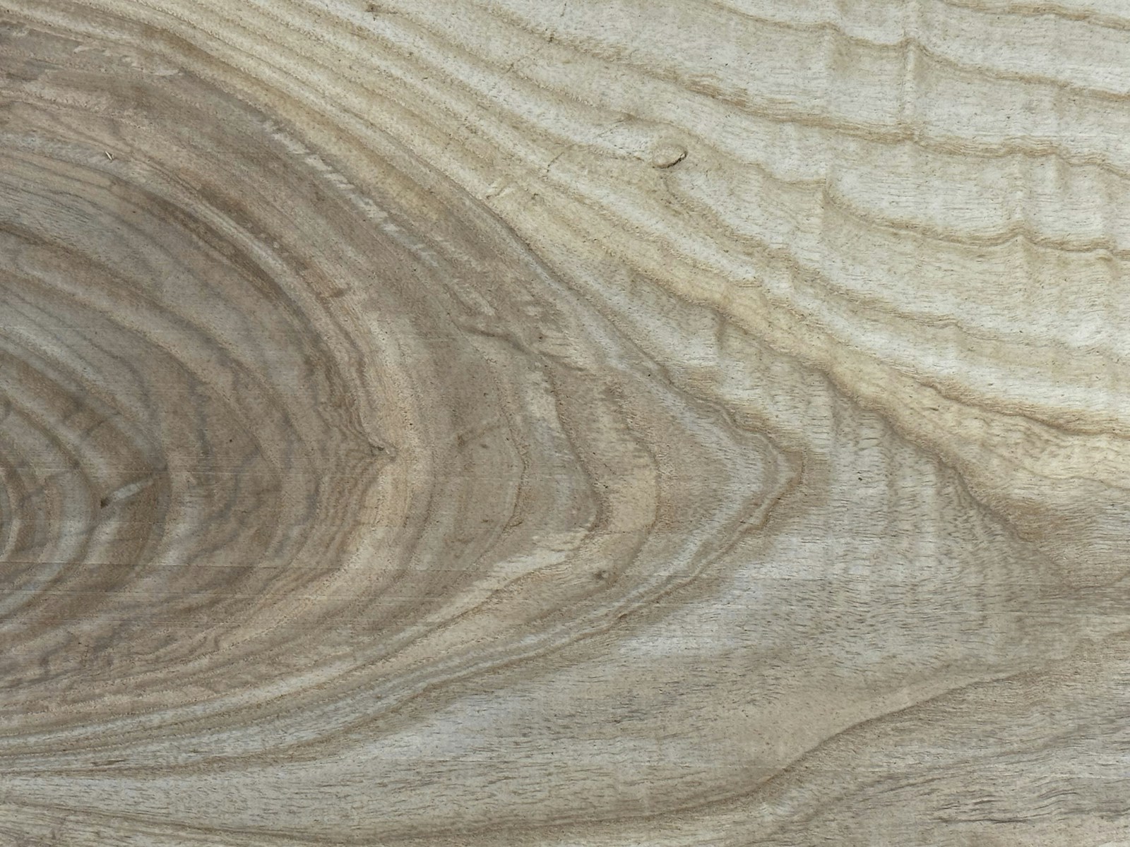 Close-up of the natural grain and texture of wood